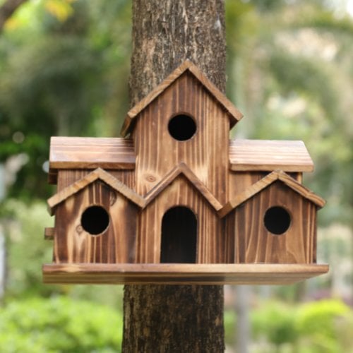 Nestora wooden birdhouse nesting box - detail