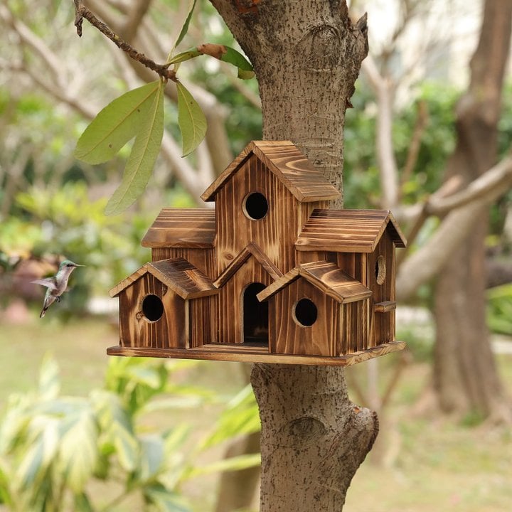 Nestora wooden birdhouse nesting box - detail
