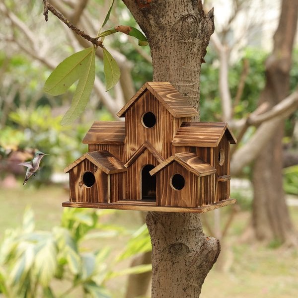 Nestora wooden birdhouse nesting box - detail