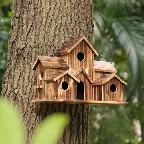 Nestora wooden birdhouse nesting box - detail