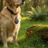 Ultrasonic Pet Pest Repeller – Chemical-Free, USB Rechargeable & Waterproof