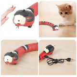 Interactive Cat Snake Toy – Motion Sensor, Realistic Movement & USB Rechargeable