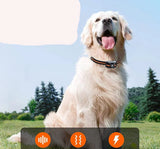 Long Range Waterproof Dog Training Collar - 1000m Range, Rechargeable & Adjustable