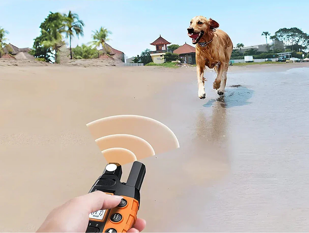 Long Range Waterproof Dog Training Collar - 1000m Range, Rechargeable & Adjustable
