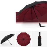 Storm-Proof & Foldable Umbrella - AeroShield