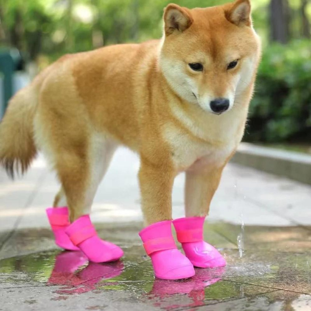 Pawsafe Waterproof Dog Boots - Durable, Non-Slip, All-Weather Protection for Active Dogs