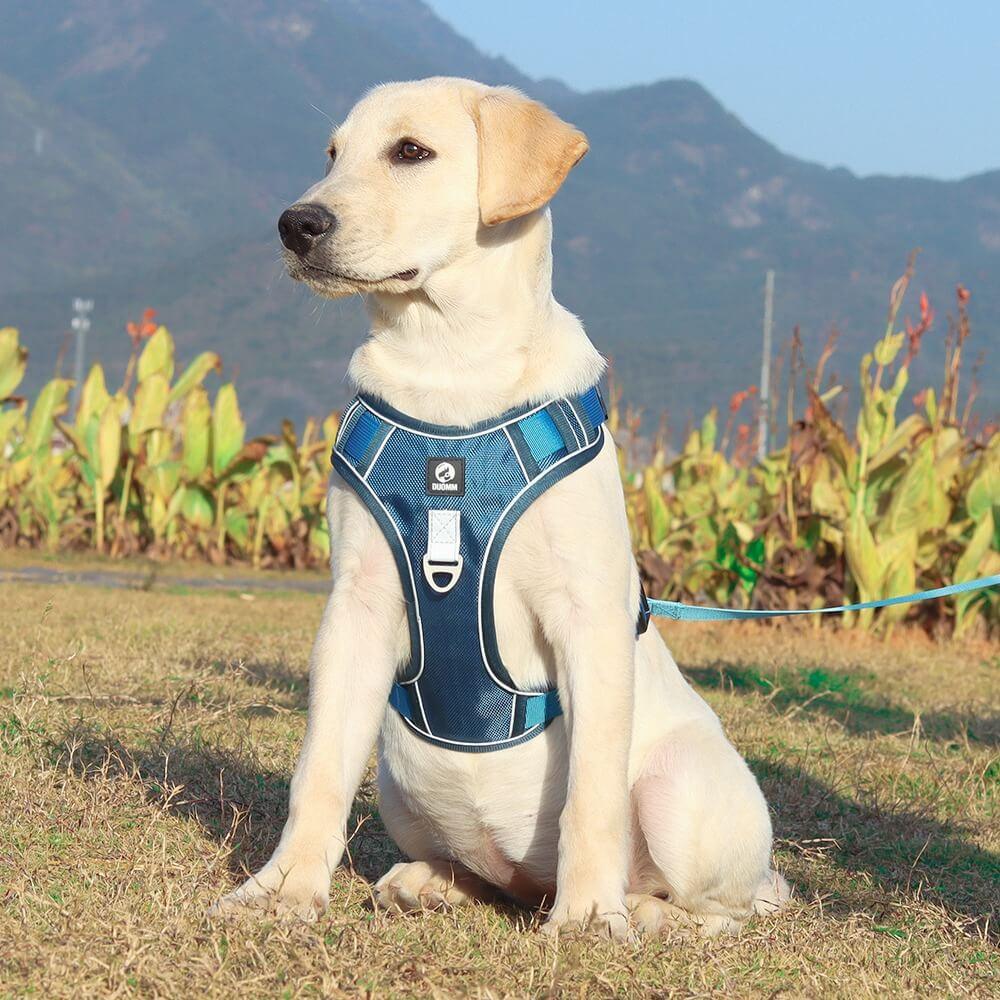 PawsControl No-Pull Dog Harness - Ultimate Comfort & Control for All Breeds