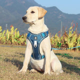 PawsControl No-Pull Dog Harness - Ultimate Comfort & Control for All Breeds