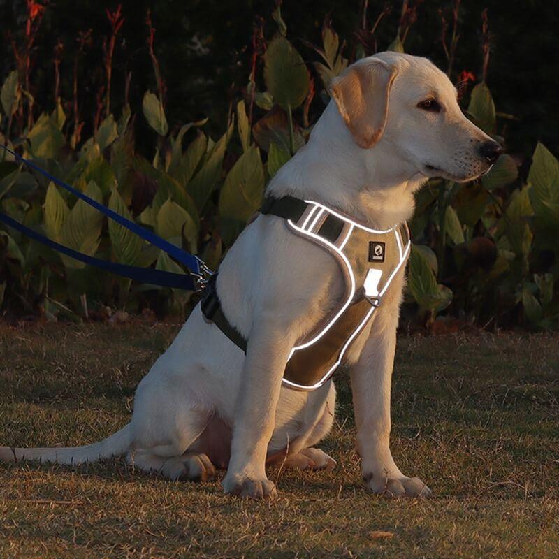 PawsControl No-Pull Dog Harness - Ultimate Comfort & Control for All Breeds