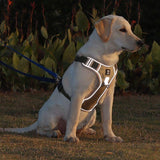 PawsControl No-Pull Dog Harness - Ultimate Comfort & Control for All Breeds