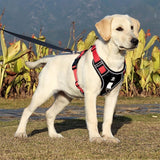 PawsControl No-Pull Dog Harness - Ultimate Comfort & Control for All Breeds