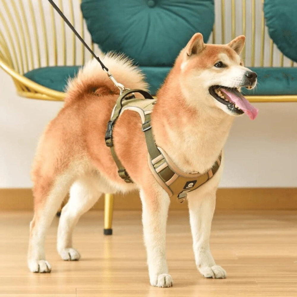 PawsControl No-Pull Dog Harness - Ultimate Comfort & Control for All Breeds