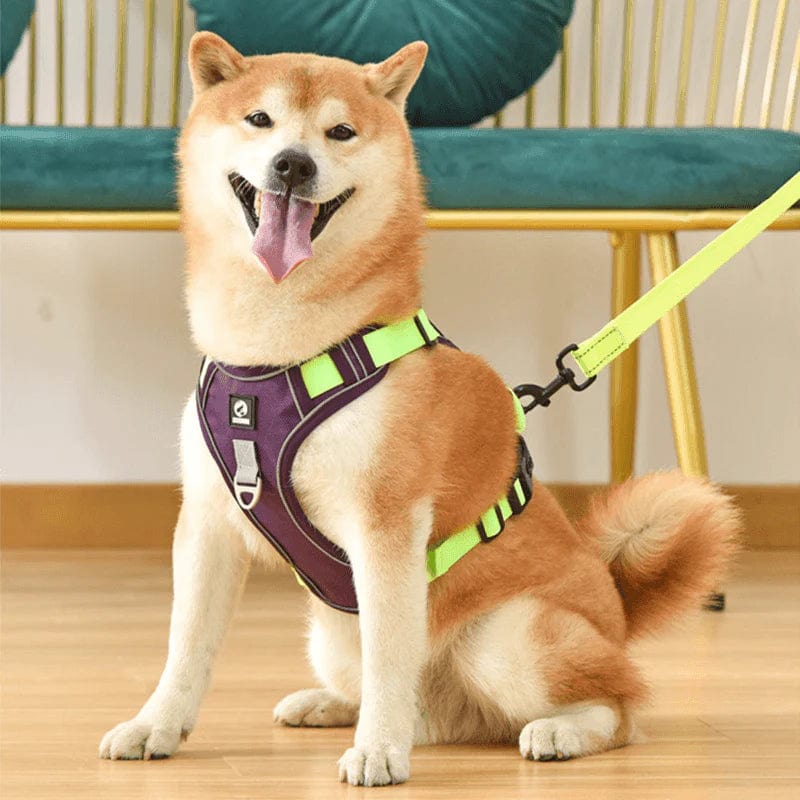 PawsControl No-Pull Dog Harness - Ultimate Comfort & Control for All Breeds