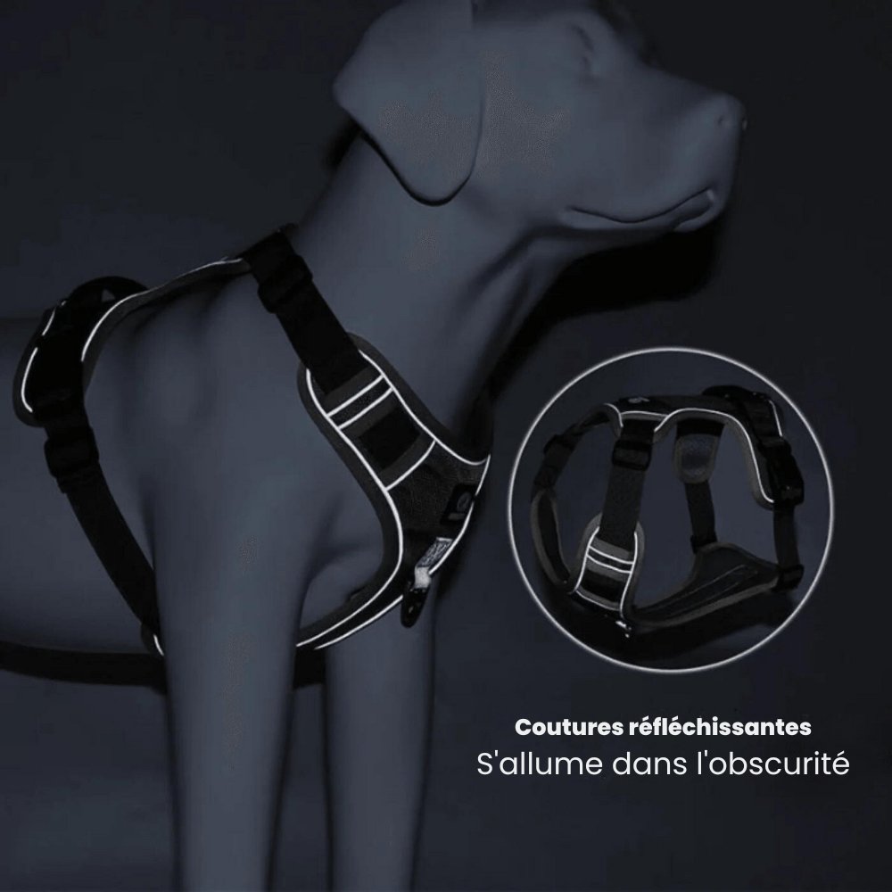 PawsControl No-Pull Dog Harness - Ultimate Comfort & Control for All Breeds