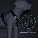PawsControl No-Pull Dog Harness - Ultimate Comfort & Control for All Breeds