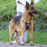PawsControl No-Pull Dog Harness - Ultimate Comfort & Control for All Breeds
