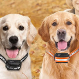Optimized Product Title: "Fernbedienbares Hundehalsband bis 1000m - Ideal für entspannte Spaziergänge mit Ihrem Hund" 

This title includes relevant keywords while maintaining clarity and appeal for potential buyers.