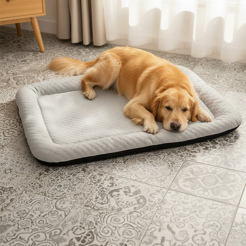 Self-Cooling Pet Mat – Waterproof, Breathable & Multi-Size Design