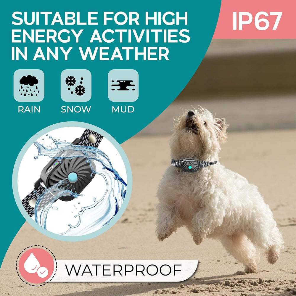 Humane Bark Control Collar for Small Dogs - Effective Gentle Training Aid for Quieting Excessive Barking