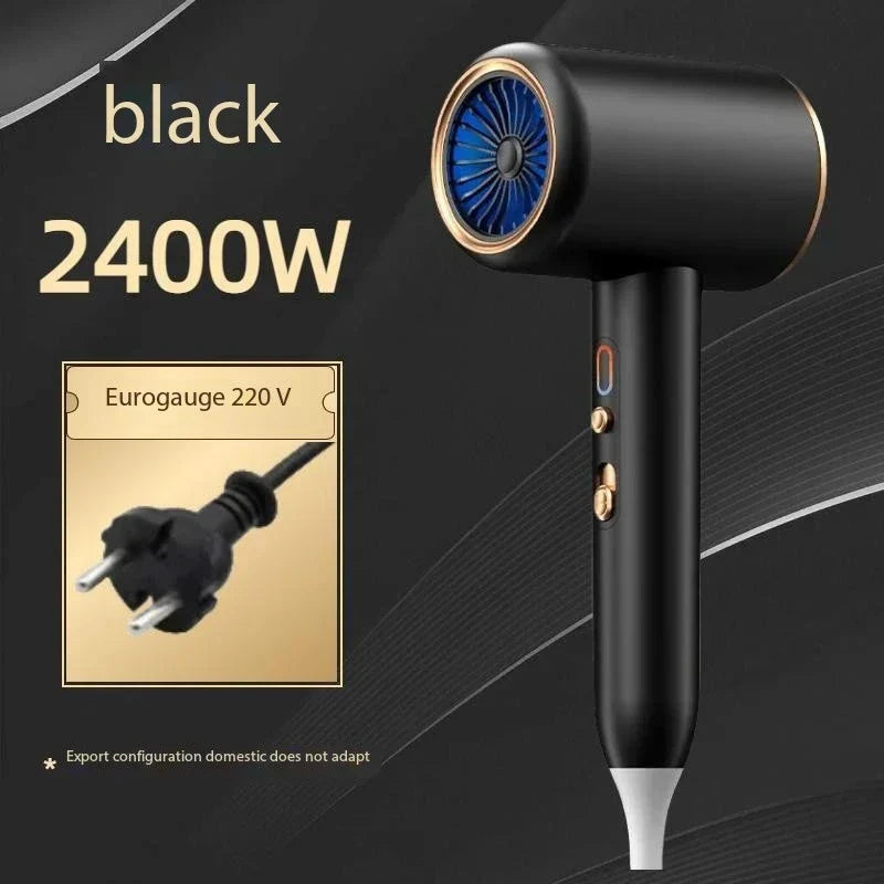2400W Professional Hair Dryer with Cold & Hot Air - Ionic Technology for Salon-Quality Results - Fast Drying & Frizz Control