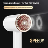 2400W Professional Hair Dryer with Cold & Hot Air - Ionic Technology for Salon-Quality Results - Fast Drying & Frizz Control