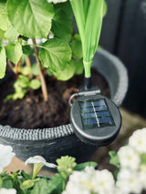 Solar Garden Stake Lights – 3 Flower Globes, 70cm Height & Weatherproof