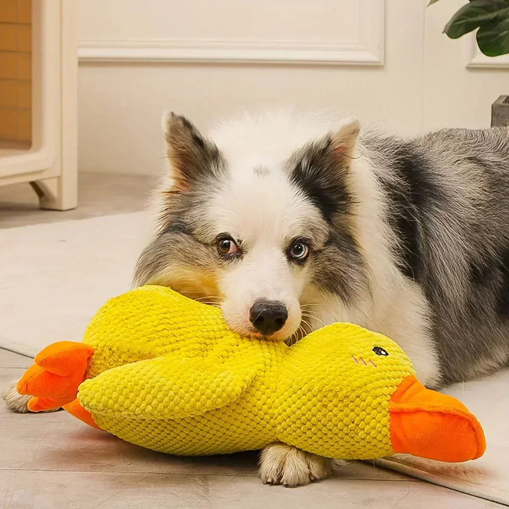 Squeaky Duck Dog Toy – Plush Material, Quacking Sound & Interactive Play