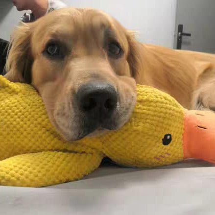Squeaky Duck Dog Toy – Plush Material, Quacking Sound & Interactive Play