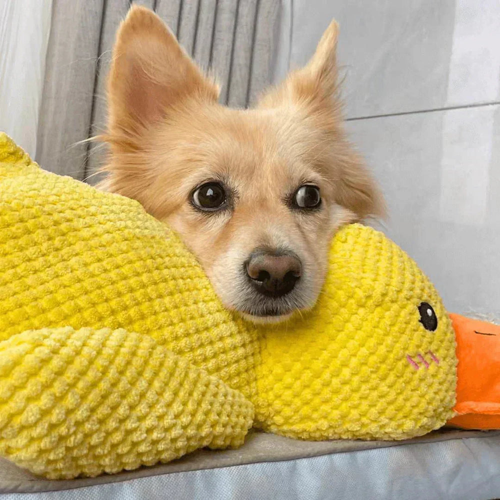 Squeaky Duck Dog Toy – Plush Material, Quacking Sound & Interactive Play