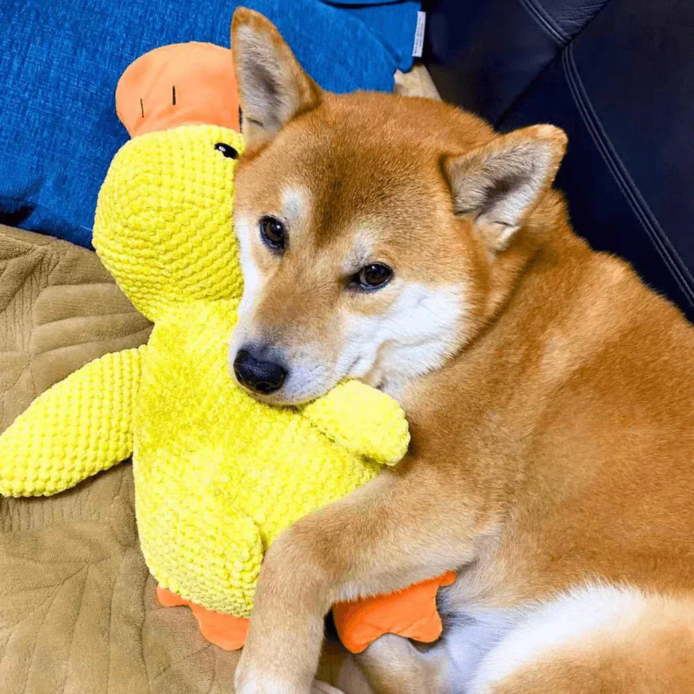 Squeaky Duck Dog Toy – Plush Material, Quacking Sound & Interactive Play