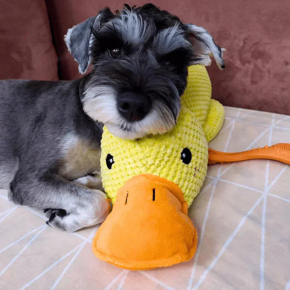 Squeaky Duck Dog Toy – Plush Material, Quacking Sound & Interactive Play