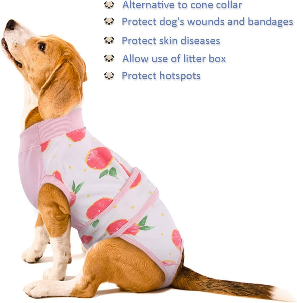 Quick Recovery Suit for Pets – Post-Surgery Healing & Comfort | Ideal for Dogs & Cats