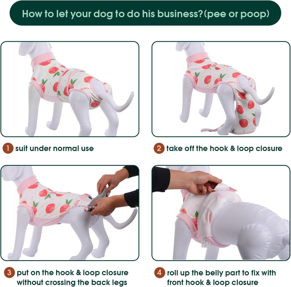 Quick Recovery Suit for Pets – Post-Surgery Healing & Comfort | Ideal for Dogs & Cats