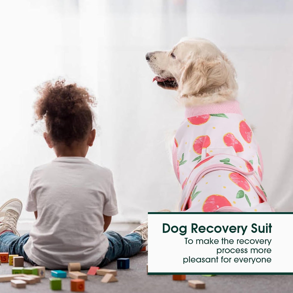 Quick Recovery Suit for Pets – Post-Surgery Healing & Comfort | Ideal for Dogs & Cats