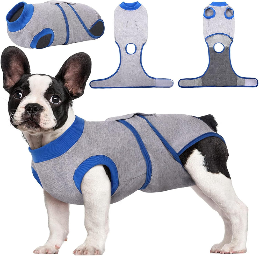 Quick Recovery Suit for Pets – Post-Surgery Healing & Comfort | Ideal for Dogs & Cats