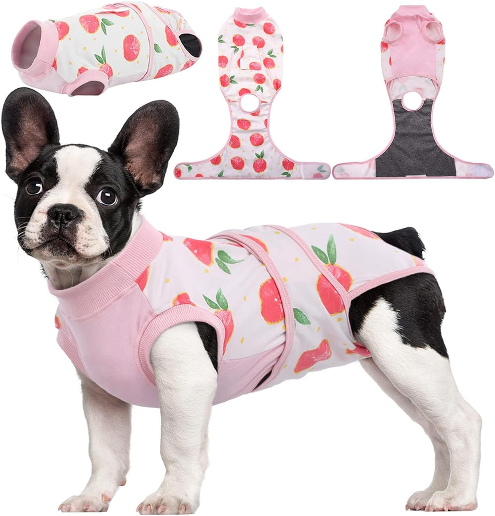 Quick Recovery Suit for Pets – Post-Surgery Healing & Comfort | Ideal for Dogs & Cats