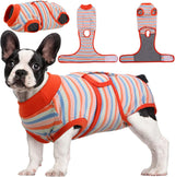 Quick Recovery Suit for Pets – Post-Surgery Healing & Comfort | Ideal for Dogs & Cats