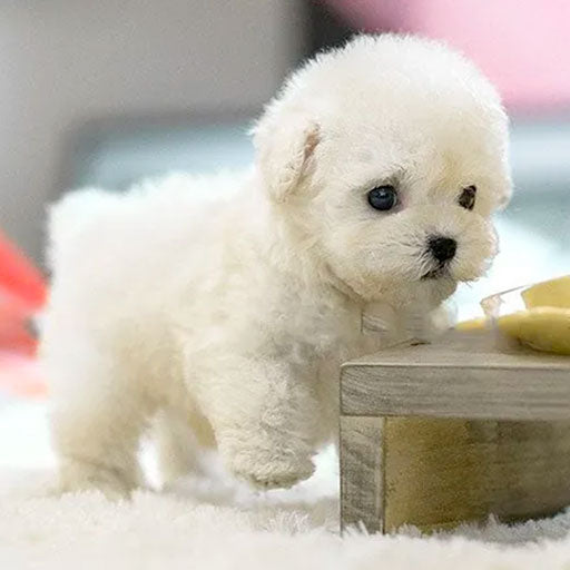 Realistic Interactive Plush Dog Toy | Soft, Animated Companion for Kids & Adults - Perfect for Playtime & Cuddles
