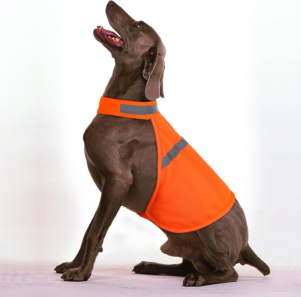 High Visibility Reflective Dog Vest - Safety Gear for Enhanced Pet Visibility
