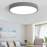 Ceiling Light Round LED Modern Flush Mount Lamp Living Room