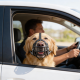 SecureFit Adjustable Dog Muzzle - Comfortable & Safe Design for Training, Vet Visits, and Grooming