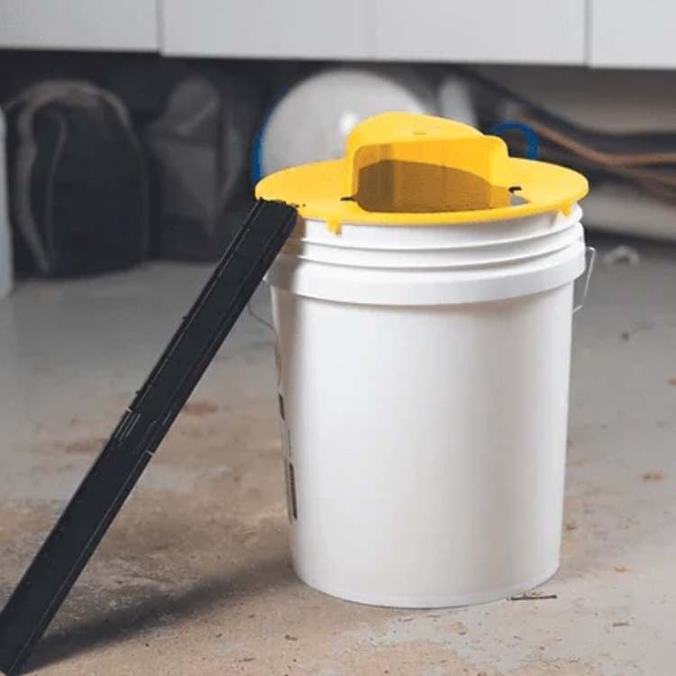 Humane Multi-Catch Mouse Trap – Automatic Tilt Reset, 30×20×10cm, No-Poison Rodent Control