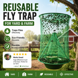 Reusable Wire Cage Fly Trap – Non-Toxic, 40,000 Capacity & Foldable