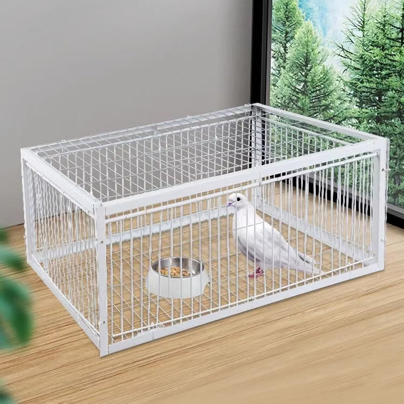 BirdSafe Trap – Animal-Friendly Bird Trap with Anti-Escape Mechanism