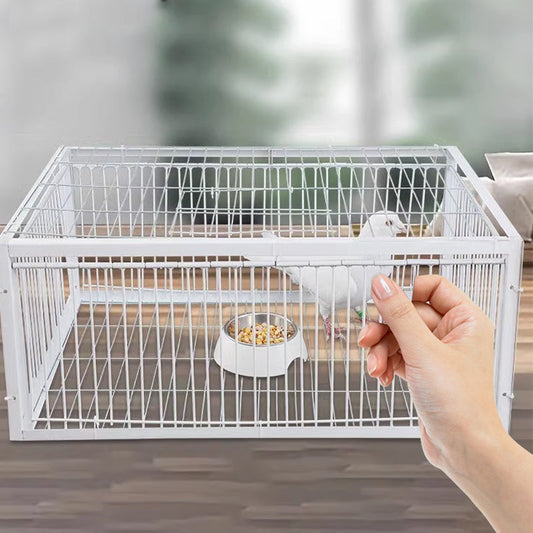 Animal-Friendly Bird Trap – Anti-Escape Mechanism