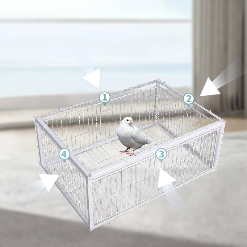 BirdSafe Trap – Animal-Friendly Bird Trap with Anti-Escape Mechanism