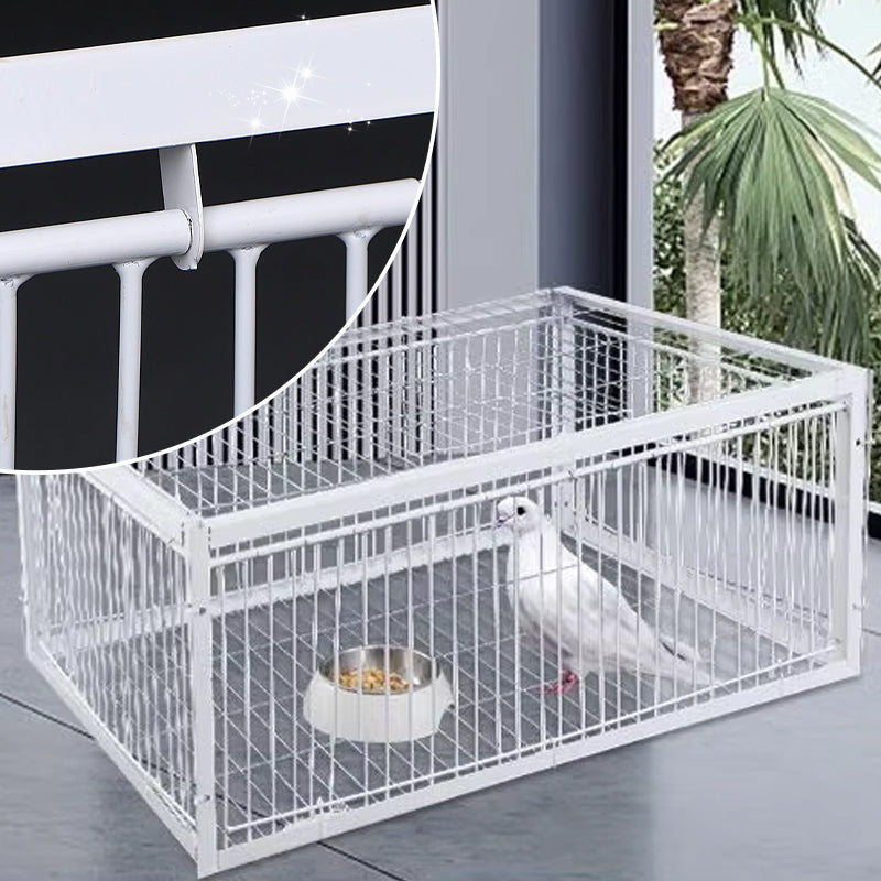 BirdSafe Trap – Animal-Friendly Bird Trap with Anti-Escape Mechanism
