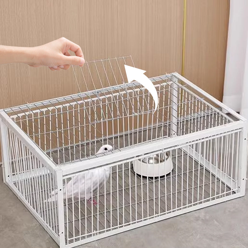 BirdSafe Trap – Animal-Friendly Bird Trap with Anti-Escape Mechanism