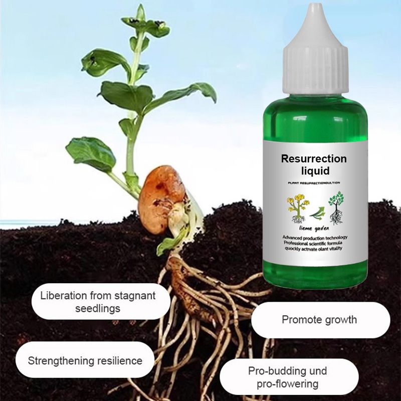 Optimized Product Title: "Pflanzen- & Blütenaktivator Flüssig – Fördert Stärkere Wurzeln & Reichhaltige Blüten für Gesunde Pflanzen" 

This title includes relevant keywords while enhancing clarity and appeal for potential buyers.