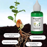 Optimized Product Title: "Pflanzen- & Blütenaktivator Flüssig – Fördert Stärkere Wurzeln & Reichhaltige Blüten für Gesunde Pflanzen" 

This title includes relevant keywords while enhancing clarity and appeal for potential buyers.